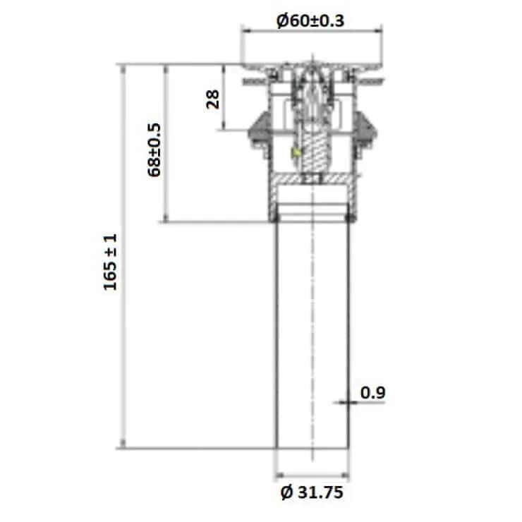 Thoát nước cho chậu rửa American Standard FFAS7979