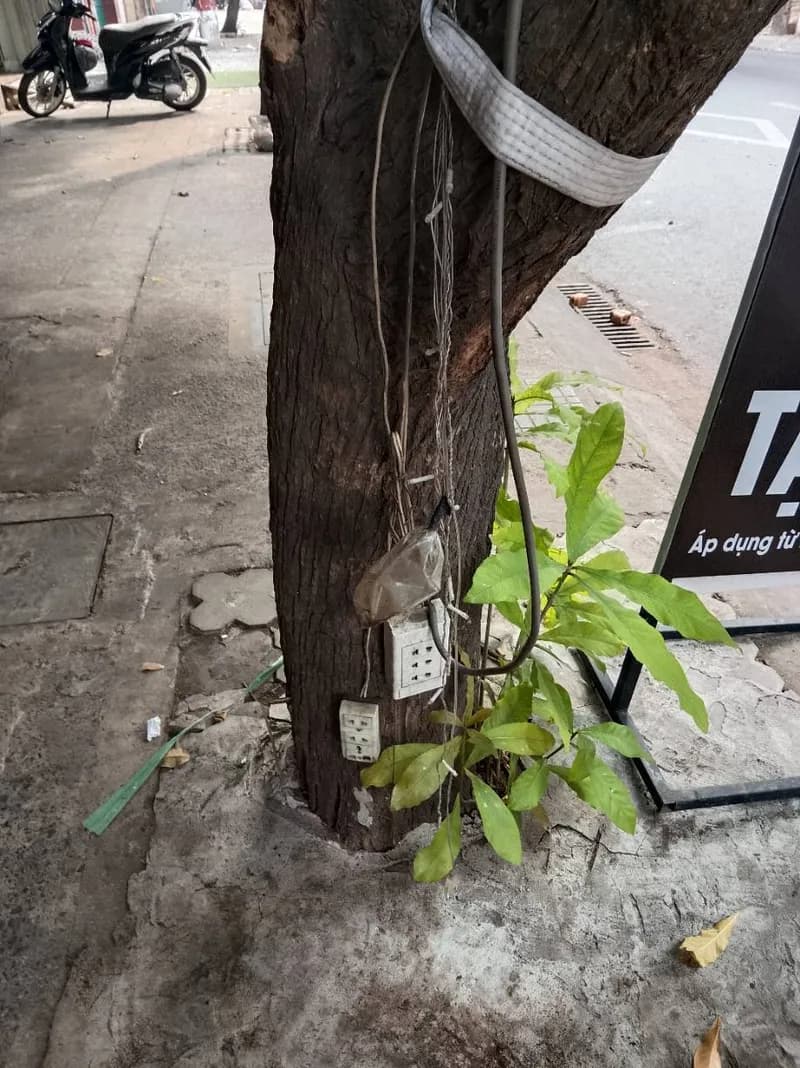 Trước sửa ổ cắm điện tại Phường 2, Tân Bình — thợ Trương Công Việt Trân