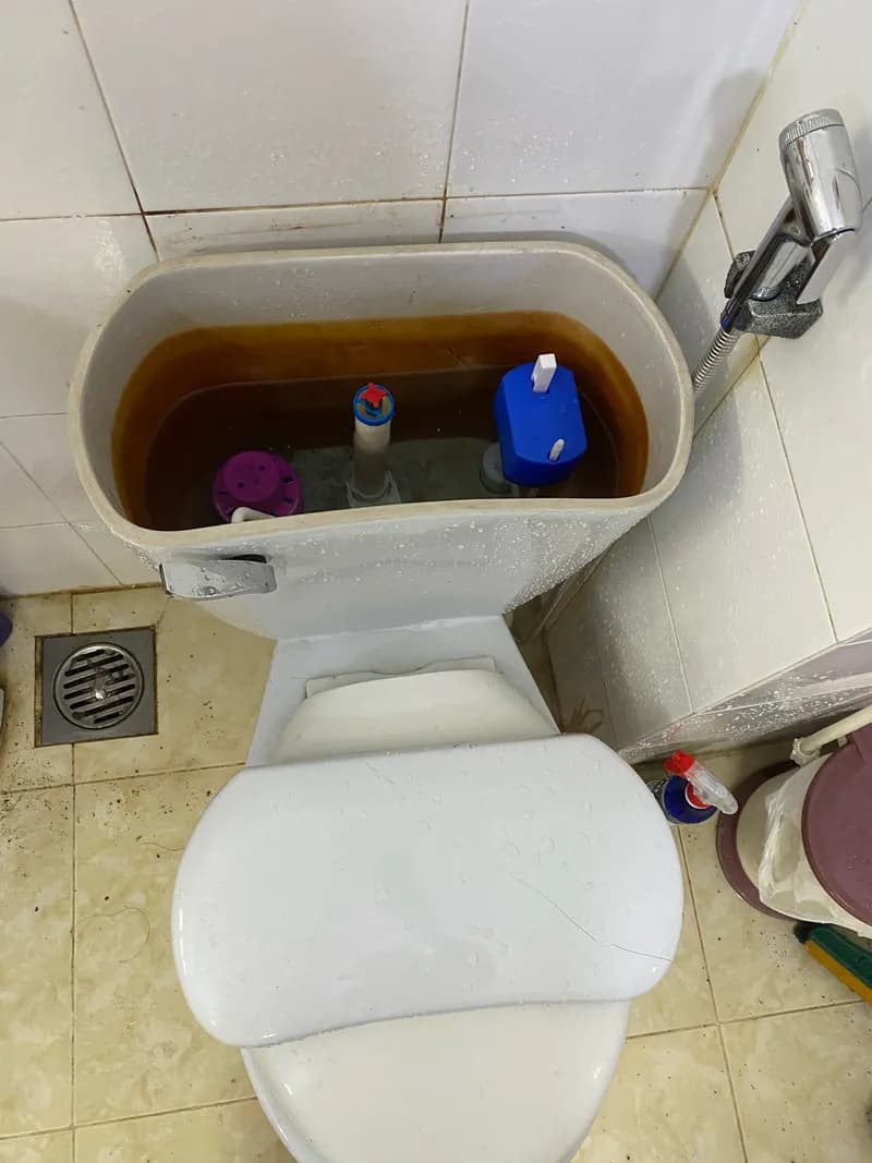Sau khi hoàn thành sửa bồn cầu tại Tân Phú — thợ Dương Oai