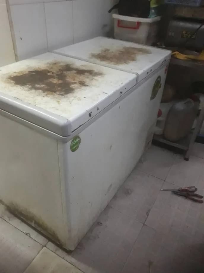 Sau khi hoàn thành sửa tủ đông ĐÔNG Fresh tại Quận 1 — thợ Đặng Anh Huy