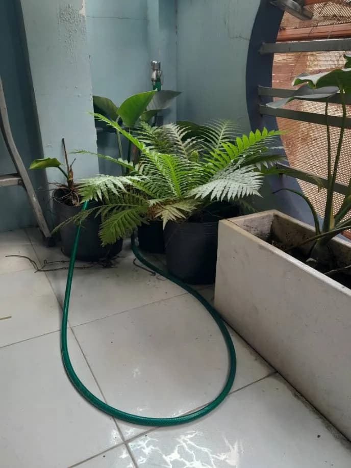 Kết quả Thông tắc ống tưới cây ban công tại Phường 8, Phú Nhuận tại Phường 8, Phú Nhuận — thợ Dương Oai