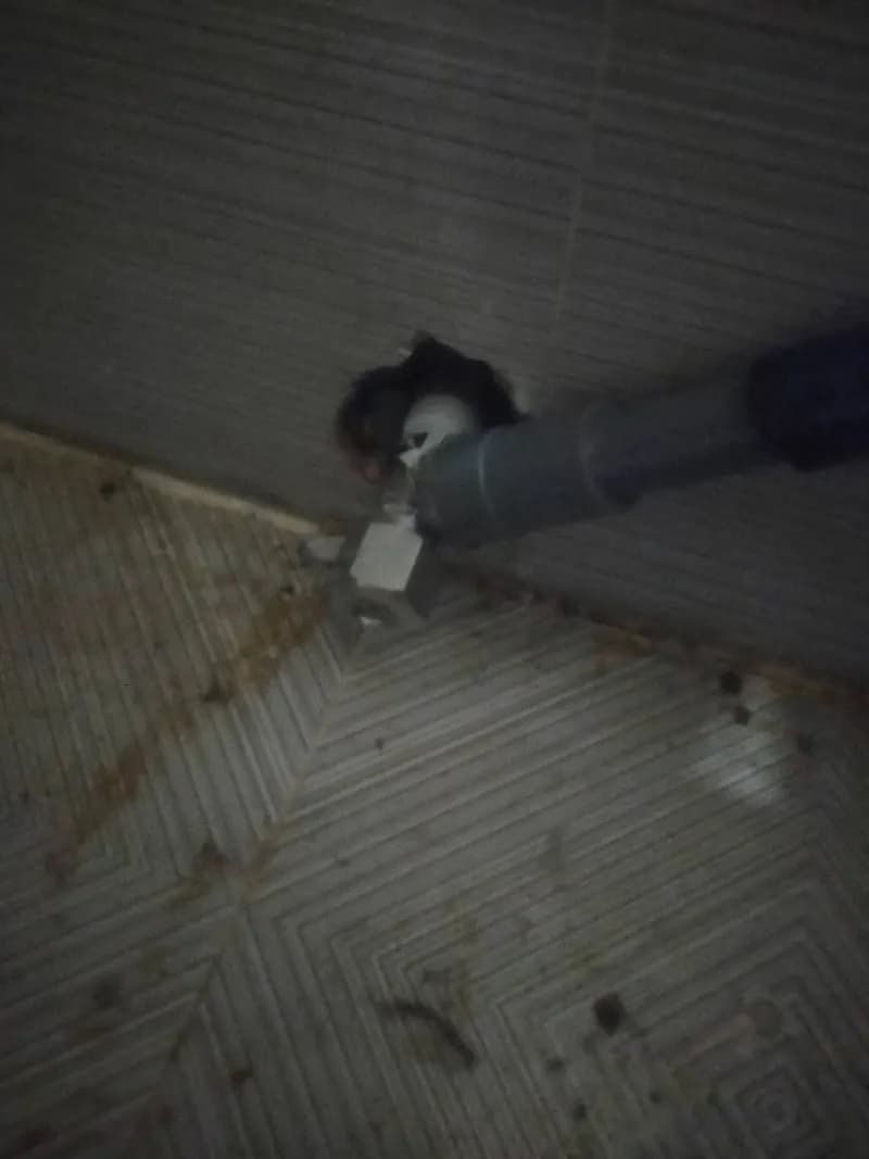 Thay thế van khóa nước bị rò rỉ tại nhà vệ sinh TPHCM tại TPHCM