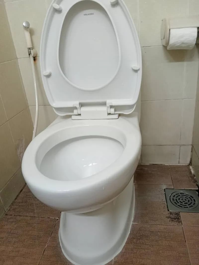 Thay bộ xả bồn cầu Viglacera chính hãng tại TPHCM tại TPHCM
