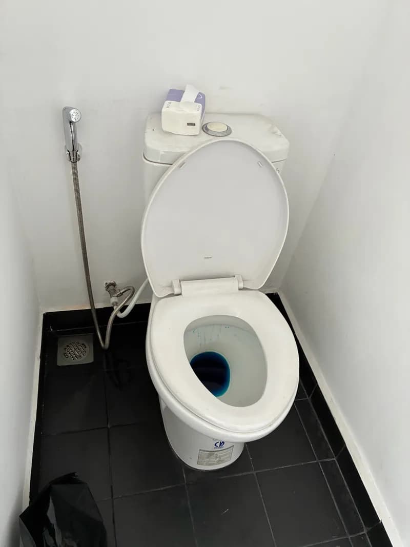 Trước sửa bồn cầu bệt Caesar tại Quận 1 — thợ Dương Oai