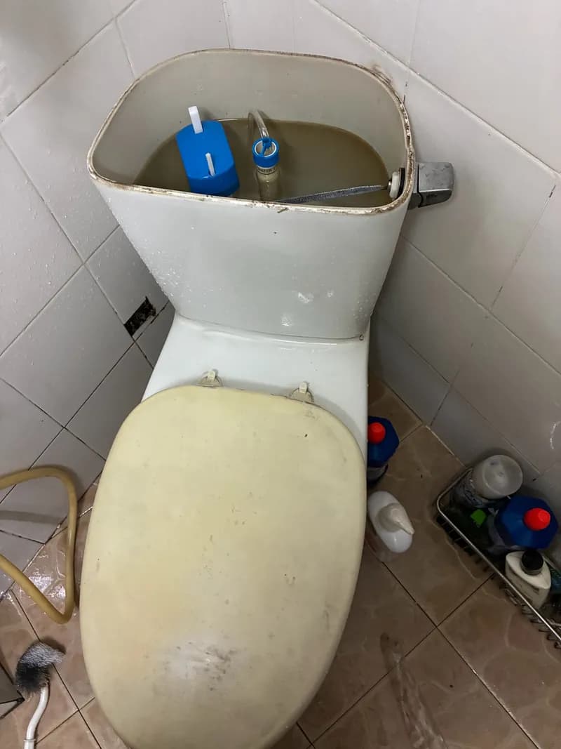 Sau khi hoàn thành sửa bồn cầu tại Quận 3 — thợ Dương Oai