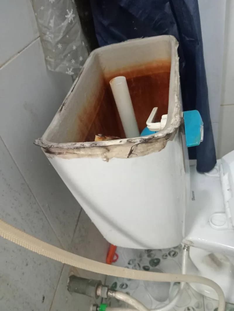 Sau khi hoàn thành sửa bồn cầu Inax tại Tân Phú — thợ Võ Hồng Hải