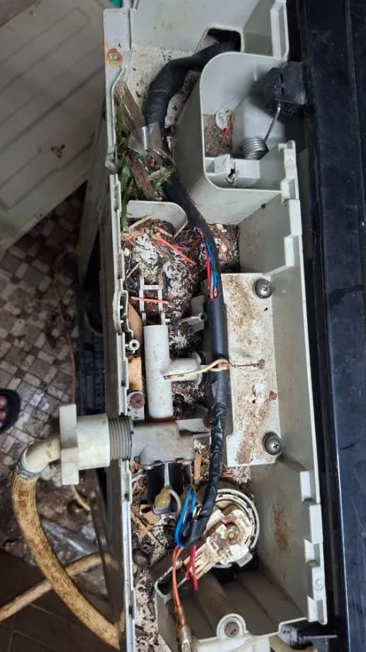 Sau khi hoàn thành sửa máy giặt TCL tại Phường Tân Bình Hồ Chí Minh, Tân Bình — thợ Nguyễn Thanh Tiến
