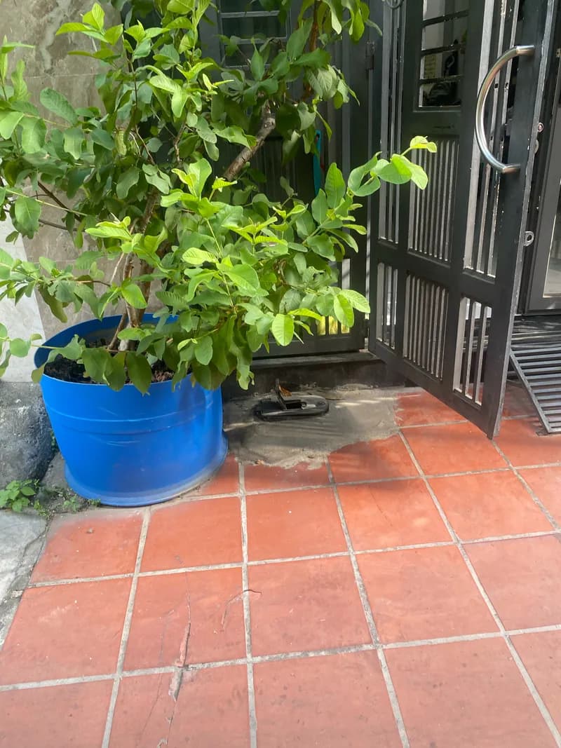 Trước sửa đường ống nước tại P.HCM, Bình Thạnh — thợ Bùi Văn An