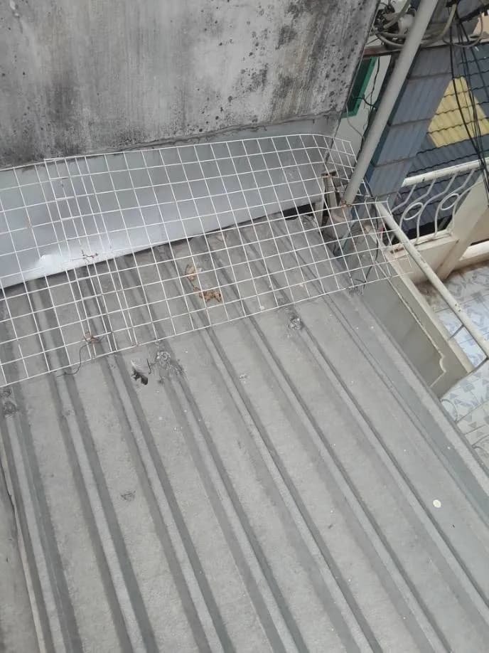 Trước sửa mái tôn tại Phường Bình Tiên, Quận 6 — thợ Bùi Văn Bảo