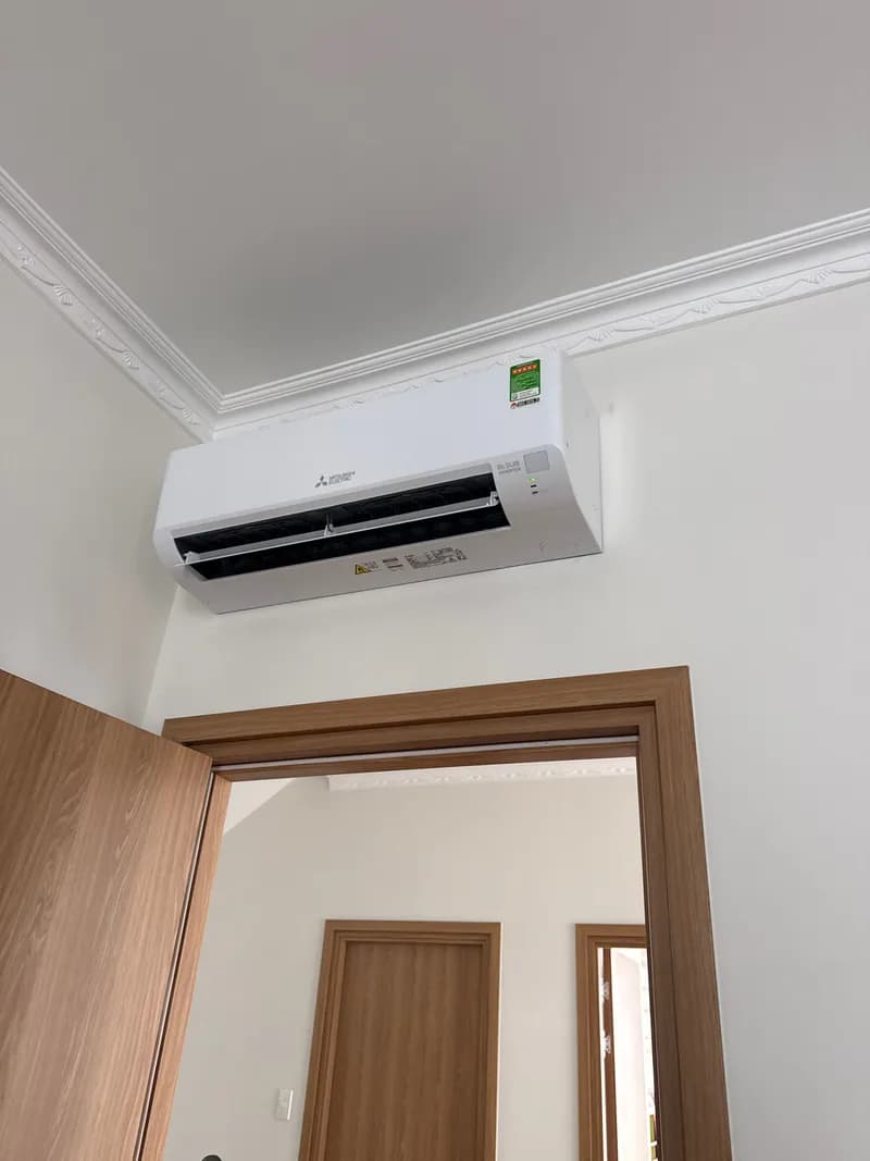 SAU