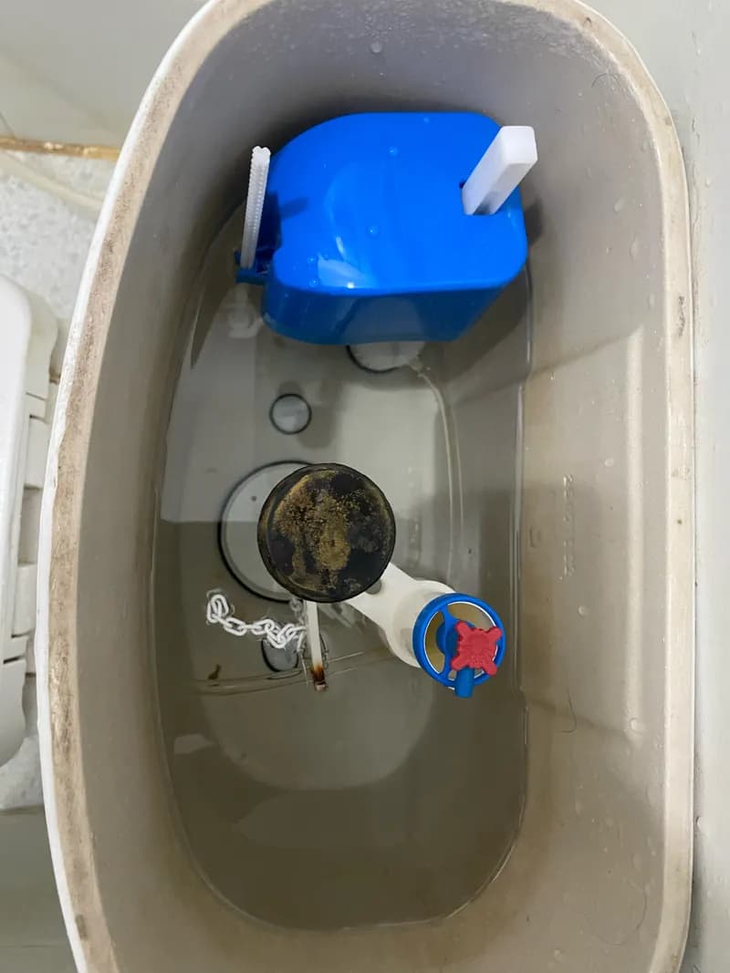 Sau khi hoàn thành sửa két nước bồn cầu Caesar tại Phường Tân Định quận 1, Quận 1 — thợ Dương Oai (5 sao)