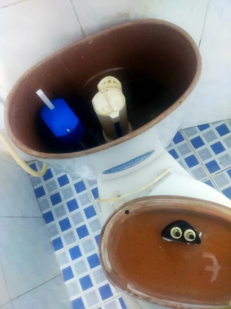 Thay bộ xả bồn cầu tại phường Hạnh Thông, Gò Vấp tại Phường Hạnh Thông, Gò Vấp