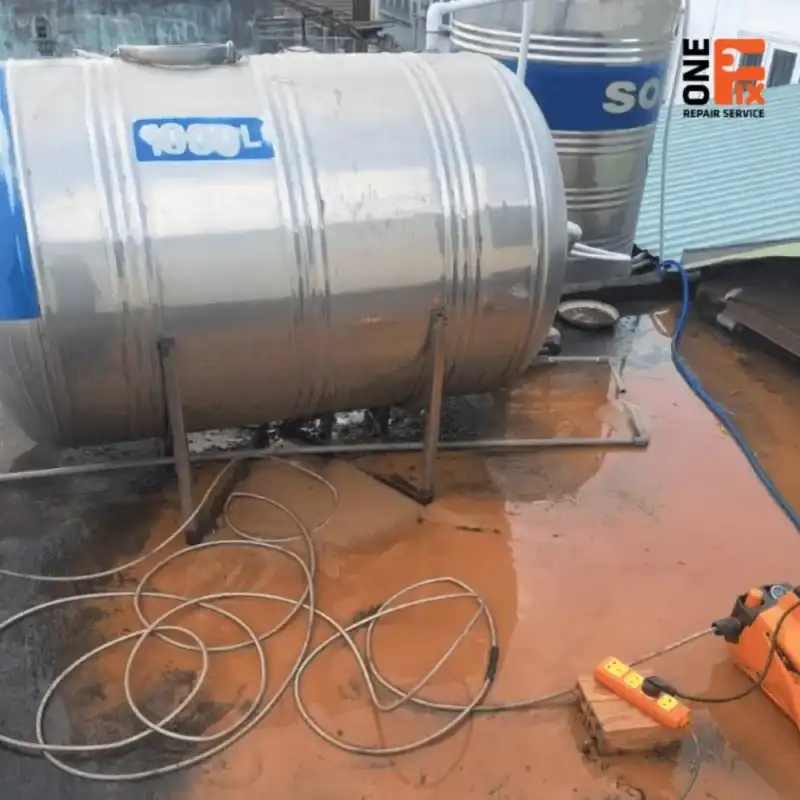 Bên trong bồn nước bị đóng cặn đen và rong rêu dày đặc trước khi vệ sinh.